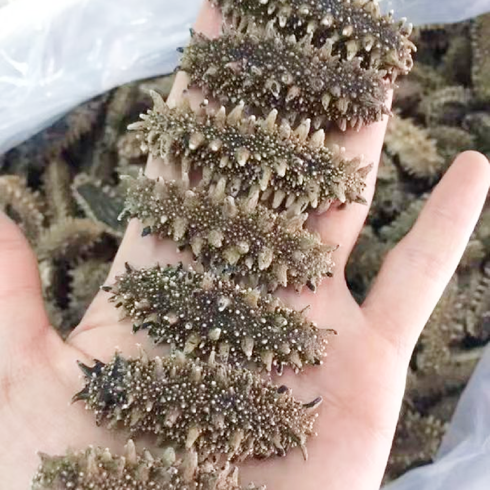 高品質による高付加価値と価格安定